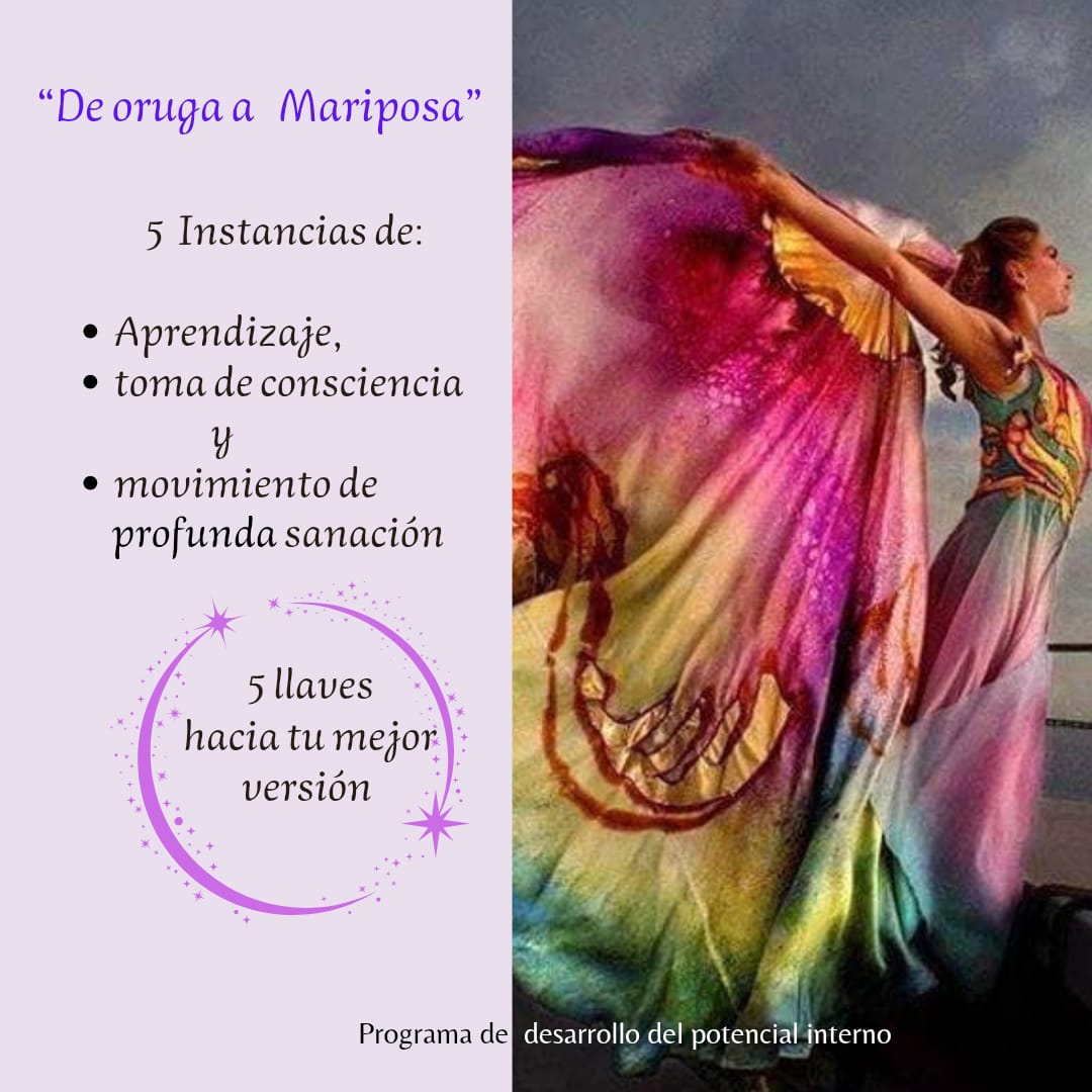 video presentación ciclo