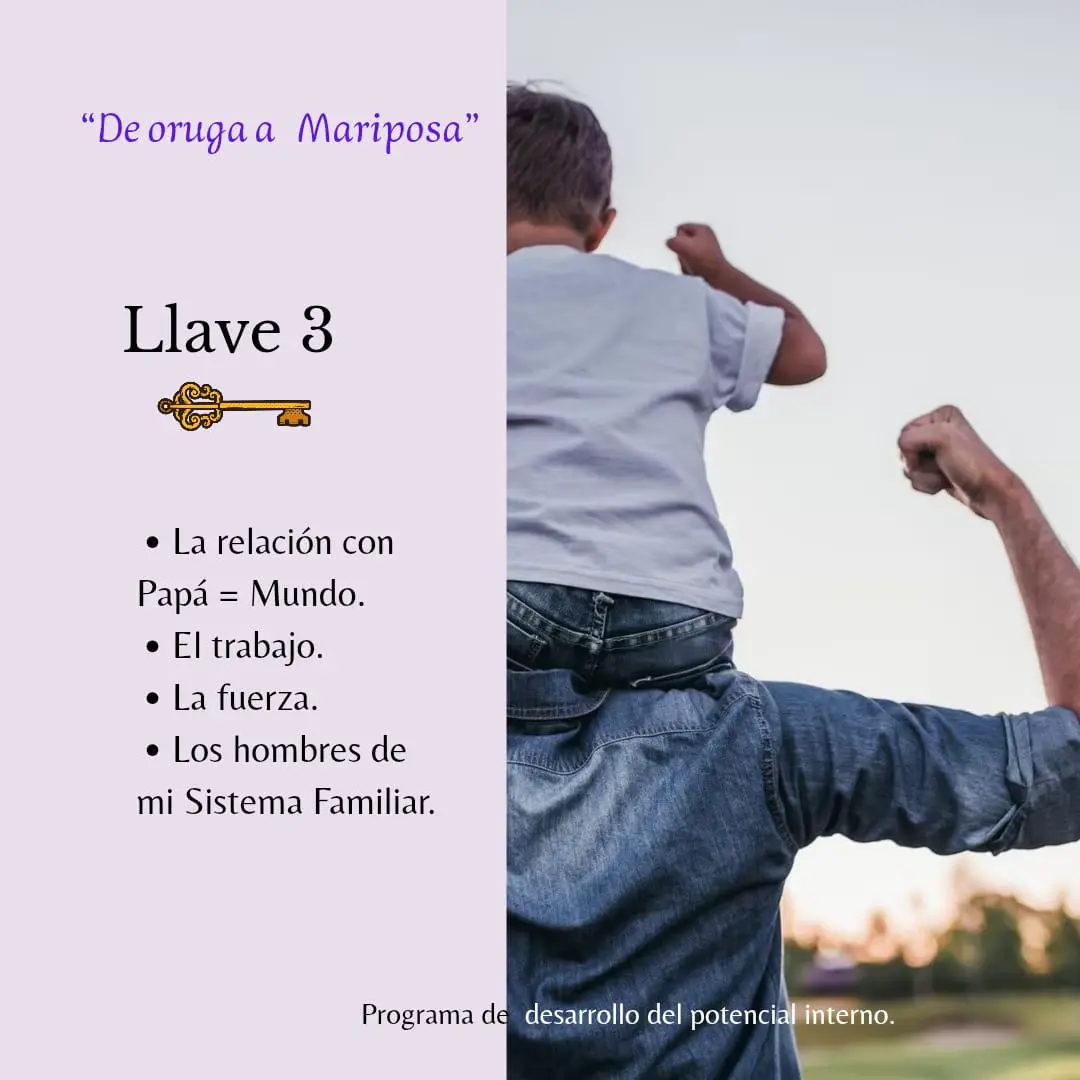 tercer encuentro de oruga a mariposa